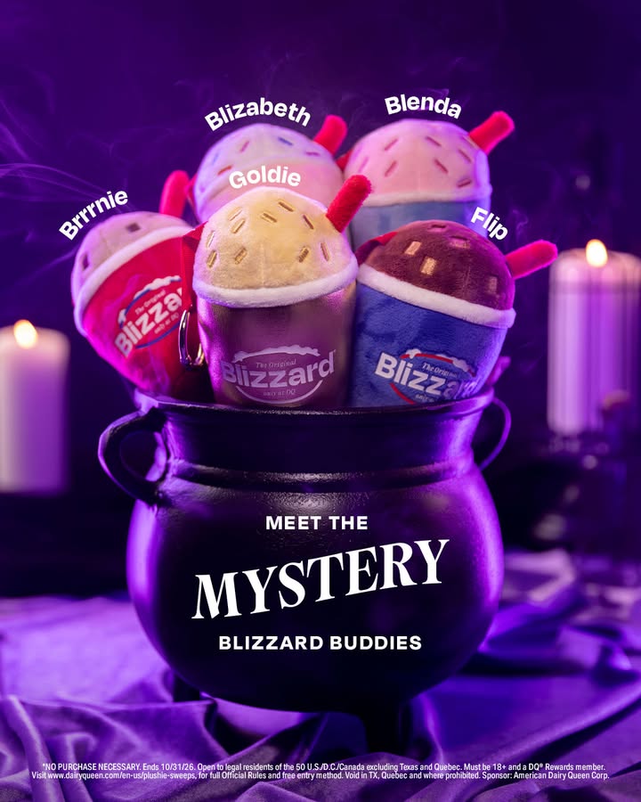 Meet Brrrnie, Blizabeth, Blenda, Goldie & Flip!